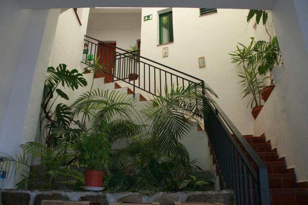La Palma Hostel By Pension Central Fuencaliente de la Palma Exteriér fotografie